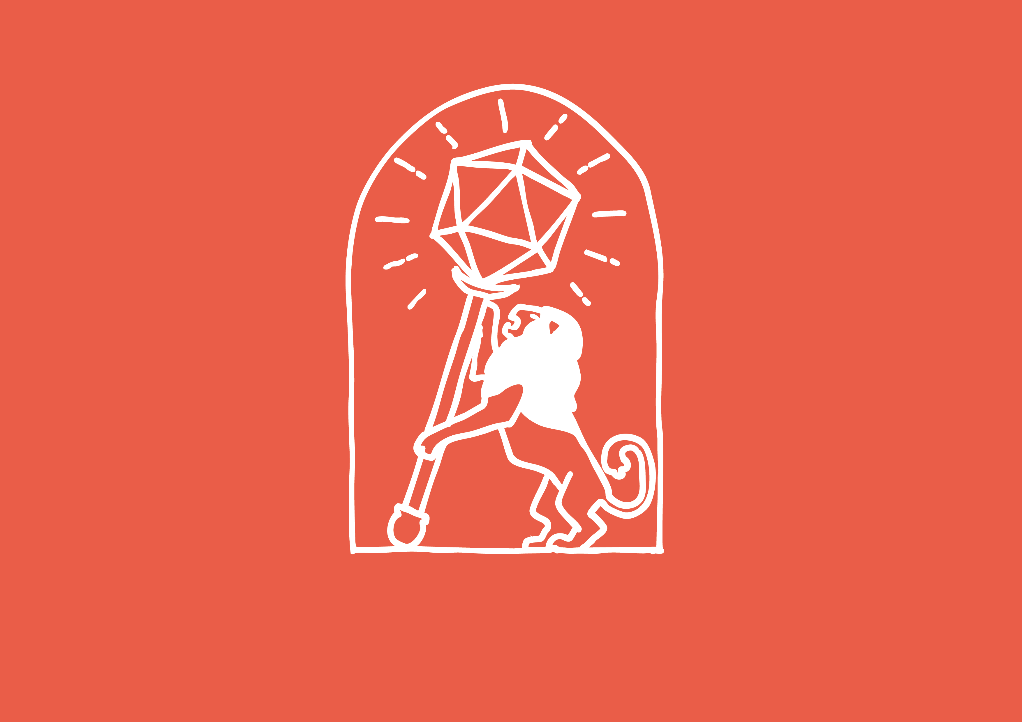 🦁 Nouveautés sur notre site !